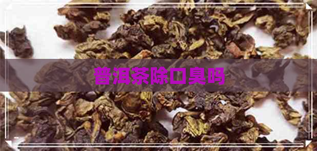 普洱茶除口臭吗