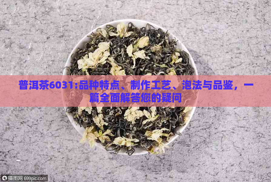 普洱茶6031:品种特点、制作工艺、泡法与品鉴，一篇全面解答您的疑问