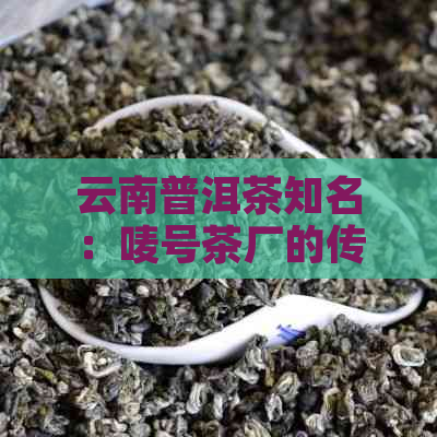 云南普洱茶知名：唛号茶厂的传承与创新