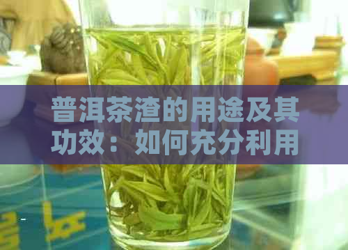 普洱茶渣的用途及其功效：如何充分利用普洱茶渣