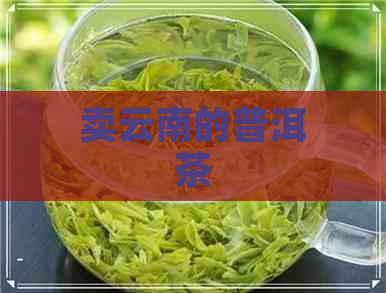 卖云南的普洱茶