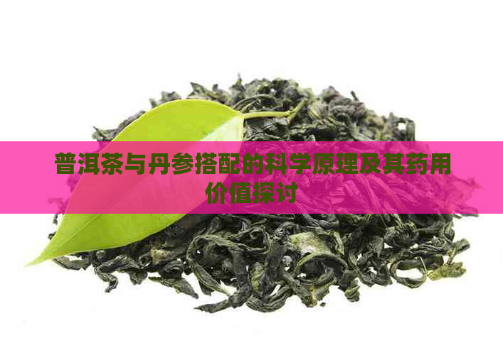 普洱茶与丹参搭配的科学原理及其药用价值探讨