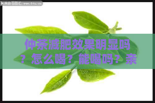 仲茶减肥效果明显吗？怎么喝？能喝吗？亲身体验仲茶减肥效果好吗？