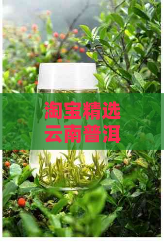 淘宝精选云南普洱茶，古树茶香醇口感，源头直供品质保障