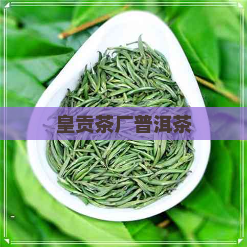 皇贡茶厂普洱茶