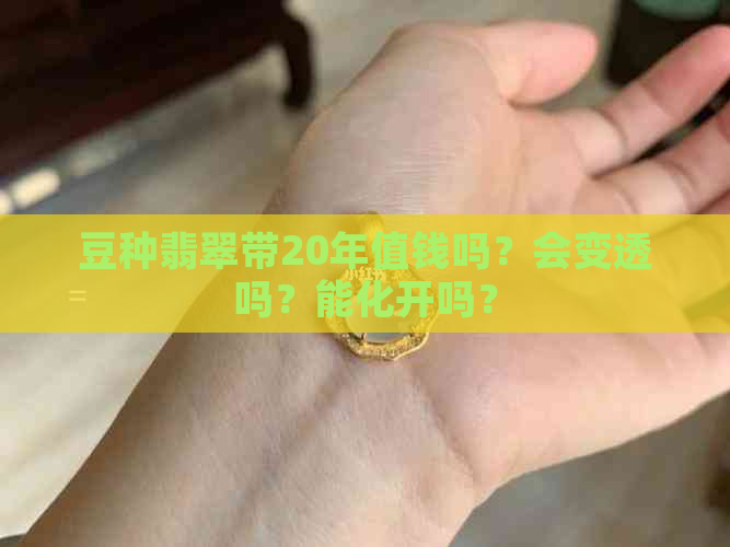 豆种翡翠带20年值钱吗？会变透吗？能化开吗？