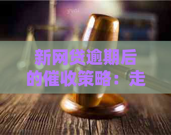 新网贷逾期后的策略：走访单位时的沟通技巧与应对方法