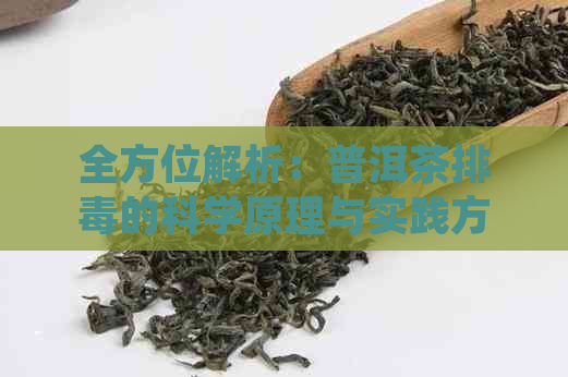 全方位解析：普洱茶排的科学原理与实践方法，助你轻松摆脱素困扰