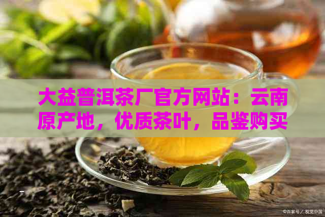 大益普洱茶厂官方网站：云南原产地，优质茶叶，品鉴购买，茶艺文化体验