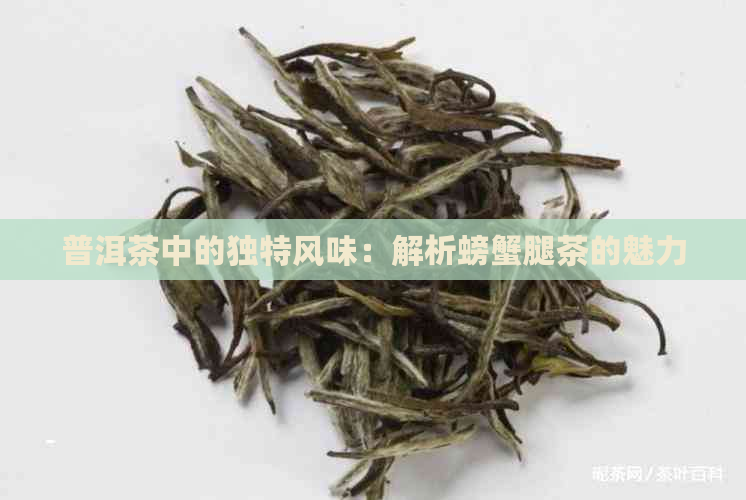 普洱茶中的独特风味：解析螃蟹腿茶的魅力