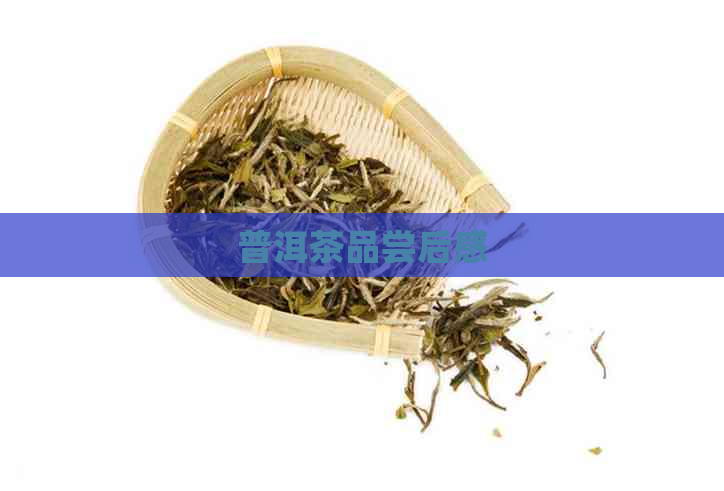 普洱茶品尝后感