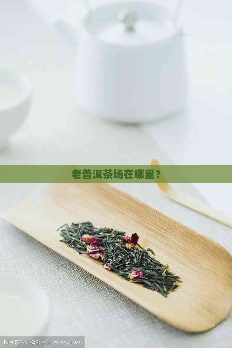 老普洱茶场在哪里？