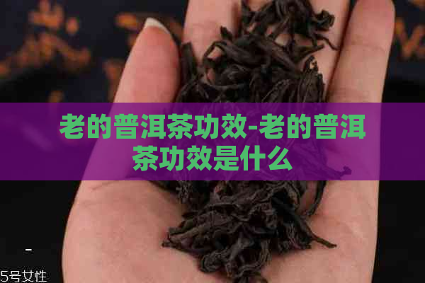 老的普洱茶功效-老的普洱茶功效是什么