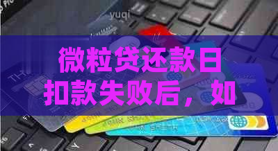 微粒贷还款日扣款失败后，如何进行手动还款操作以及注意事项