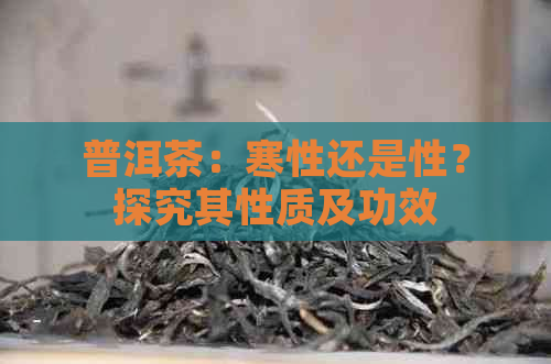 普洱茶：寒性还是性？探究其性质及功效