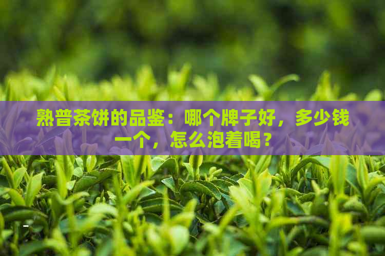 熟普茶饼的品鉴：哪个牌子好，多少钱一个，怎么泡着喝？