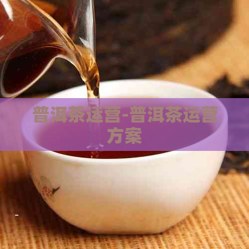 普洱茶运营-普洱茶运营方案