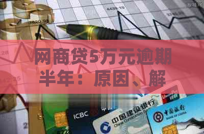 网商贷5万元逾期半年：原因、解决方法以及可能的影响