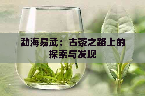 勐海易武：古茶之路上的探索与发现