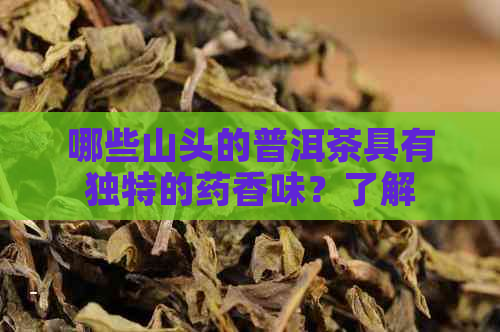 哪些山头的普洱茶具有独特的药香味？了解这些产地让你品鉴更深入！