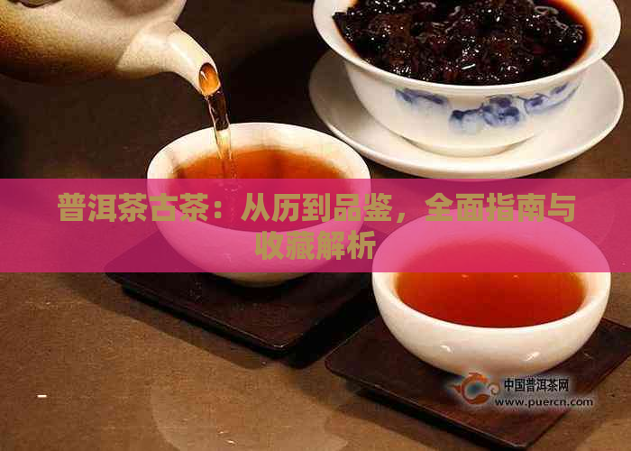 普洱茶古茶：从历到品鉴，全面指南与收藏解析