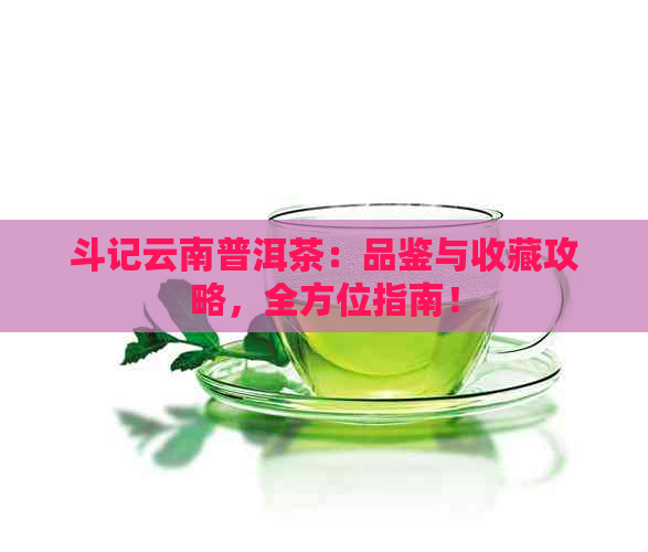 斗记云南普洱茶：品鉴与收藏攻略，全方位指南！