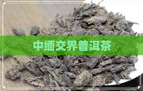 中缅交界普洱茶