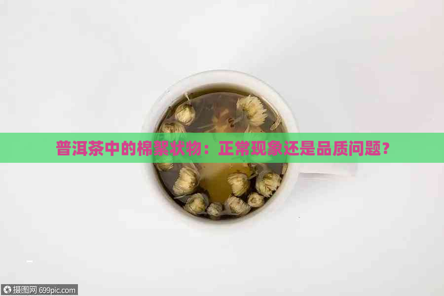 普洱茶中的棉絮状物：正常现象还是品质问题？