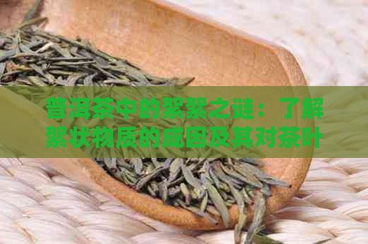 普洱茶中的絮絮之谜：了解絮状物质的成因及其对茶叶品质的影响