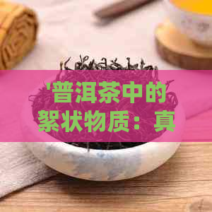 '普洱茶中的絮状物质：真相揭示与品饮影响'