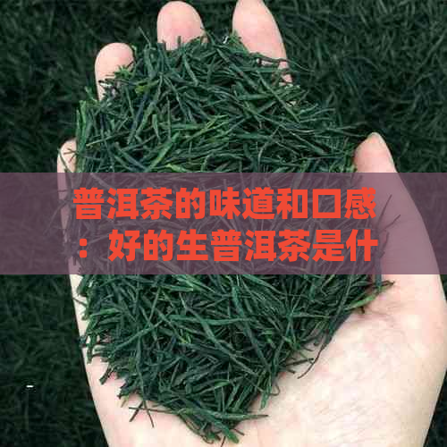 普洱茶的味道和口感：好的生普洱茶是什么口感，普洱茶口感特点描述