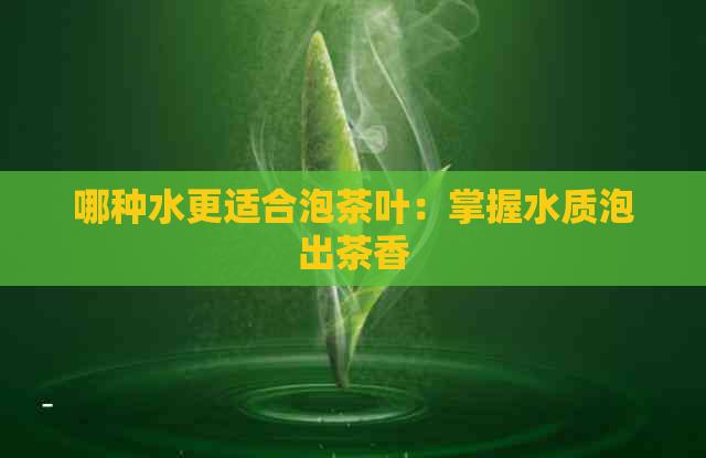 哪种水更适合泡茶叶：掌握水质泡出茶香