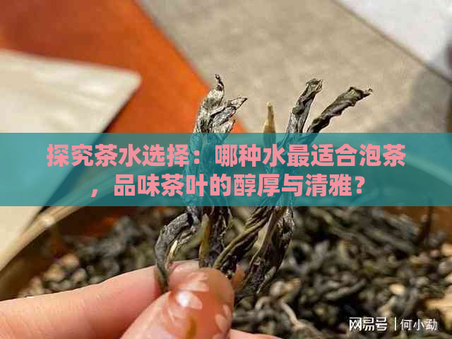 探究茶水选择：哪种水最适合泡茶，品味茶叶的醇厚与清雅？