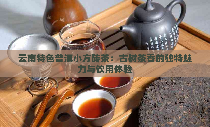 云南特色普洱小方砖茶：古树茶香的独特魅力与饮用体验