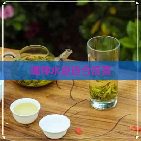 哪种水更适合泡茶