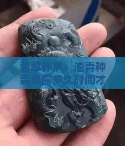 翡翠养护：油青种翡翠需多久时间才能养润好？