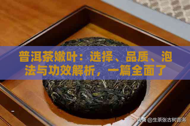 普洱茶嫩叶：选择、品质、泡法与功效解析，一篇全面了解普洱茶的文章