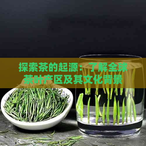 探索茶的起源：了解全球茶叶产区及其文化背景