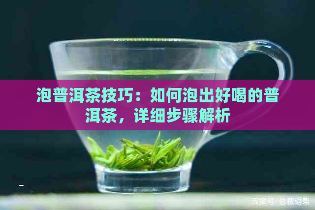 泡普洱茶技巧：如何泡出好喝的普洱茶，详细步骤解析