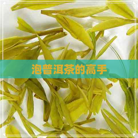 泡普洱茶的高手