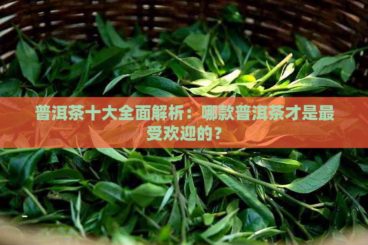 普洱茶十大全面解析：哪款普洱茶才是更受欢迎的？