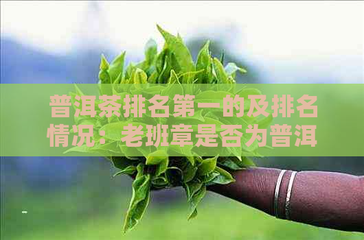 普洱茶排名之一的及排名情况：老班章是否为普洱茶排名之一？