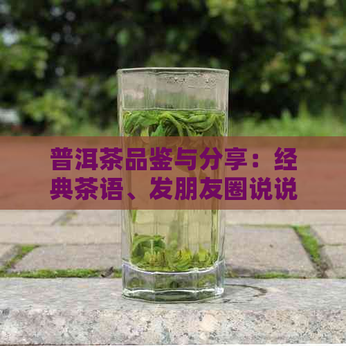 普洱茶品鉴与分享：经典茶语、发朋友圈说说，让你的茶时光更美好！