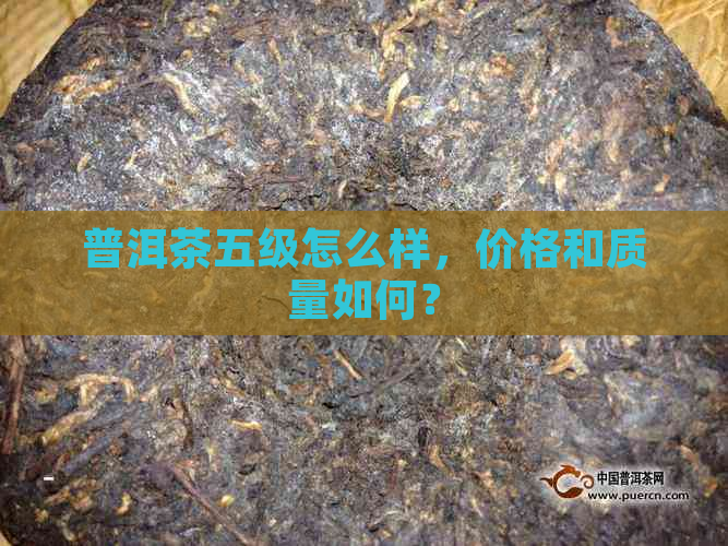 普洱茶五级怎么样，价格和质量如何？