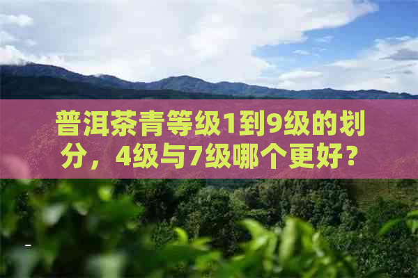 普洱茶青等级1到9级的划分，4级与7级哪个更好？