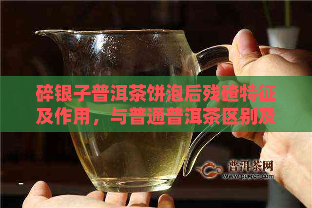 碎银子普洱茶饼泡后残碴特征及作用，与普通普洱茶区别及价格参考