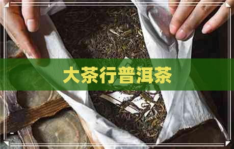 大茶行普洱茶