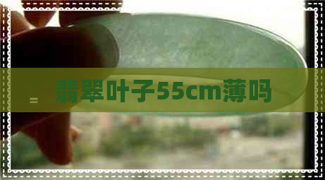 翡翠叶子55cm薄吗