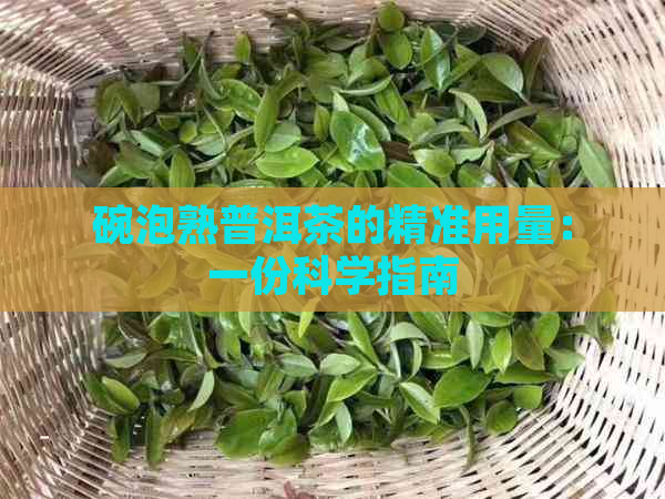 碗泡熟普洱茶的精准用量：一份科学指南