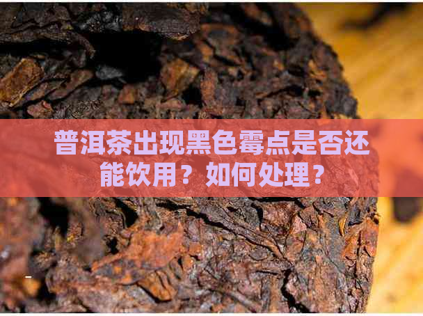 普洱茶出现黑色霉点是否还能饮用？如何处理？